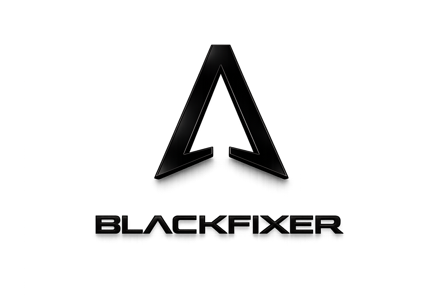 Logo Black Fixer